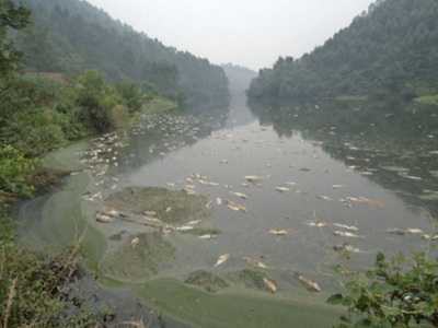 深圳水質(zhì)檢測